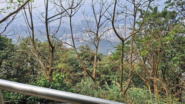 20240308汐止大尖山步道-四分尾山-耳空龜山2448627