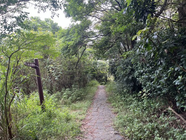 [皮皮獅探險隊-02/10] 2025_0706 漢卿步道、秀才步道2830923