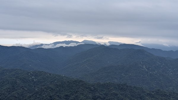 115.05.01天上山-桐花公園之旅3052131