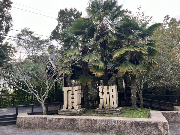 [嘉遊好步道．來嘉走走-04/10] 2024_1011 阿里山頂湖步道2624779