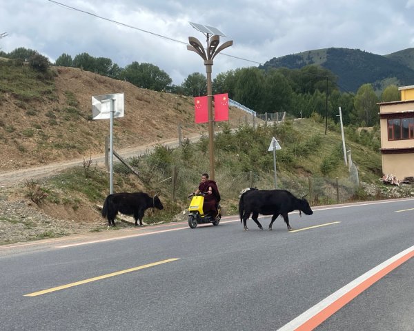 川藏深度之旅33天/A行程2901386