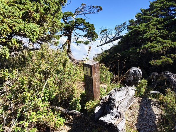 北一段(11/14)南湖北峰 2025_0906~132887313