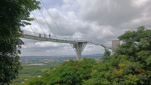 百大：小崗山健行步道1766251