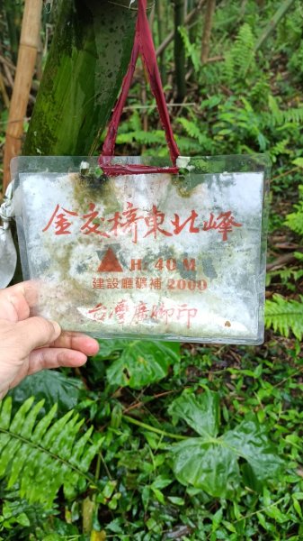 金交椅山東北峰2729805