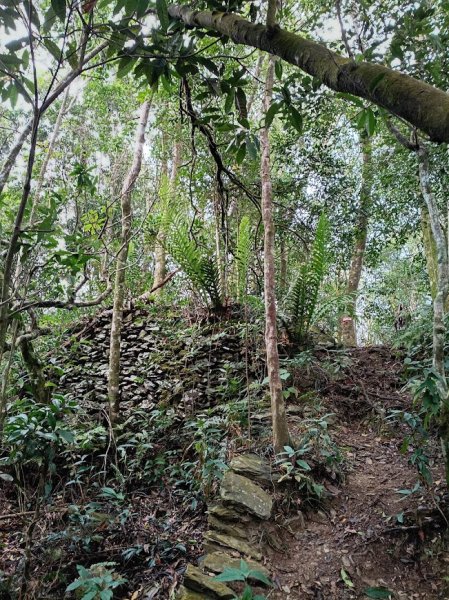 2025 12/27 鳴海山2970993