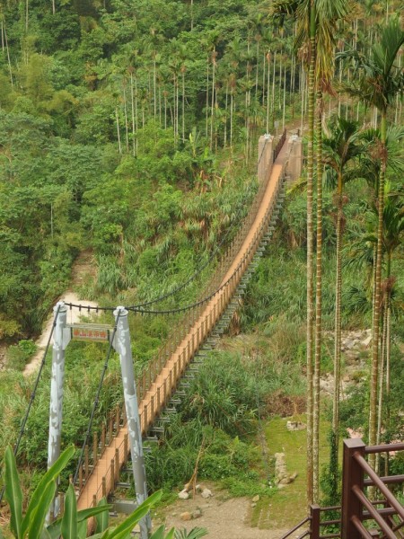 華山咖啡園區254696