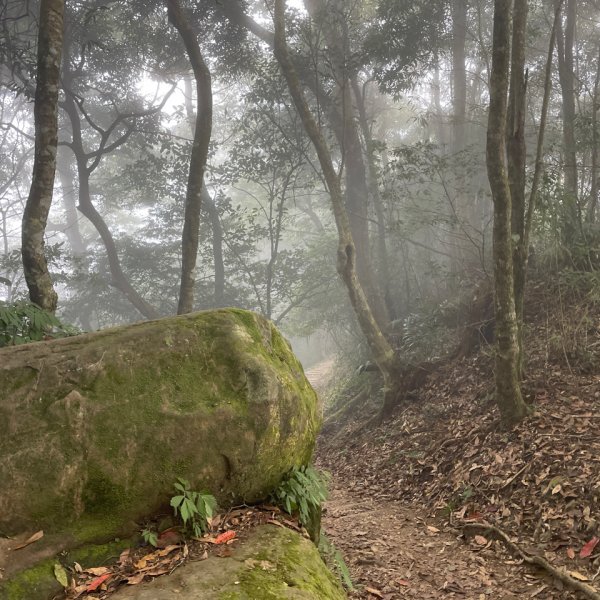 馬那邦山楓了1878171