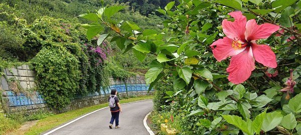 2026/05/24_大崎棟古道O型3066866