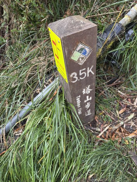 20251225塔山步道(大塔山)2970406