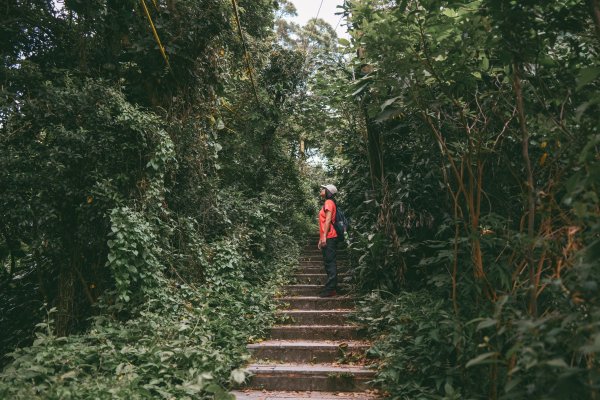 劍潭山 老地方2669526