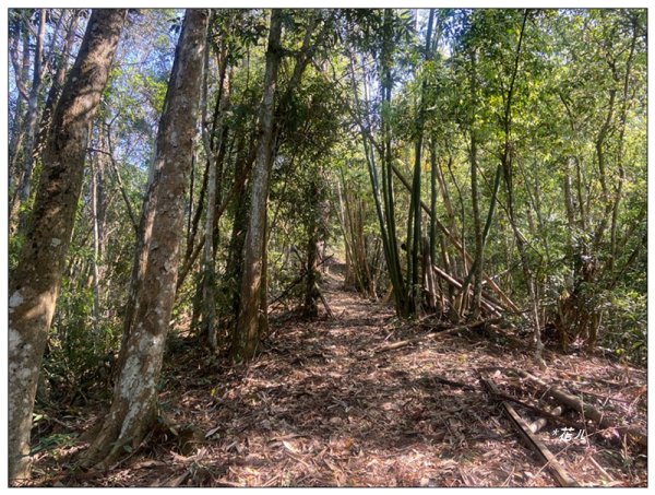 阿里眉山 (日月潭四姝的么妹)2753063