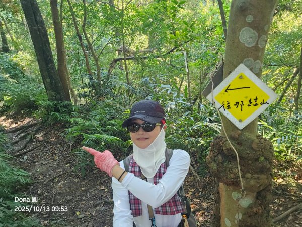 復興三尖老么之那結山1520m(嘎色鬧上)全紀錄2915477