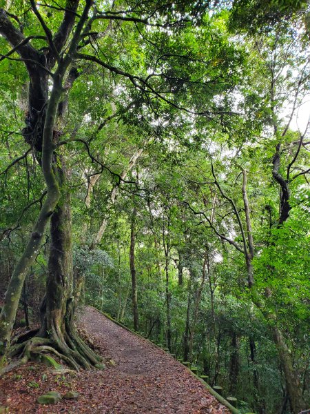 小百岳-馬那邦山1082602
