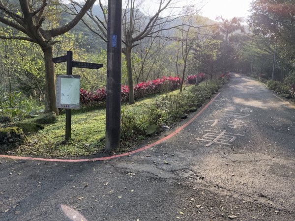 2025/02/17 姜子寮絕壁瀑布 姜子寮山2908674