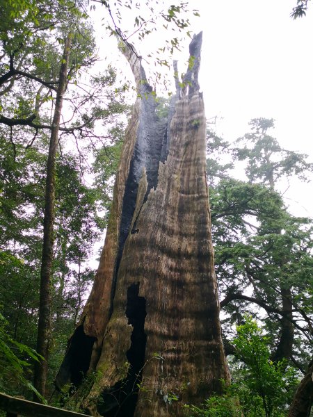 北得拉曼 內鳥嘴山1524488