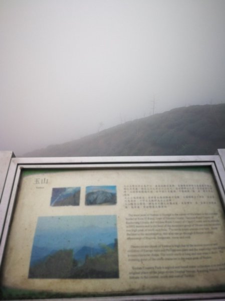 20190105雲霧中的大崙山武岫農圃524348