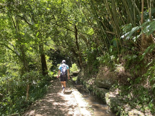 《探訪內雙溪三圳流向｜大崎頭步道 × 鵝尾山》