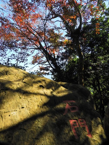 苗栗 大湖 馬那邦山778191