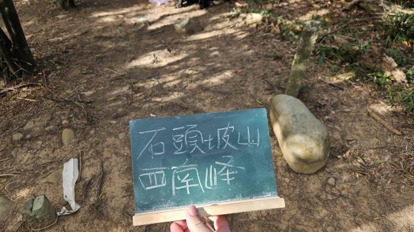 20251218犁頭山-吧哩國山主東峰-石頭坑山西南峰-石頭坑山2967009