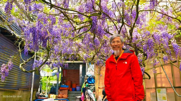 追花是簡單的快樂，賞花是恬淡的幸褔 4/32751447