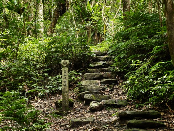 [淡蘭古道] 2026_0524 南路第四段_四堵古道(中)-石柱3069957