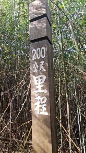 20251223芎林文林古道O走+雞寮坑山+芎林顯伯公野餐2975945