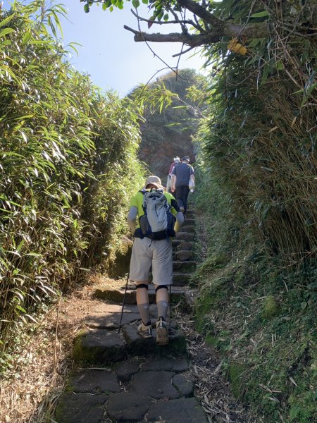 七星山主峰、東峰3124769