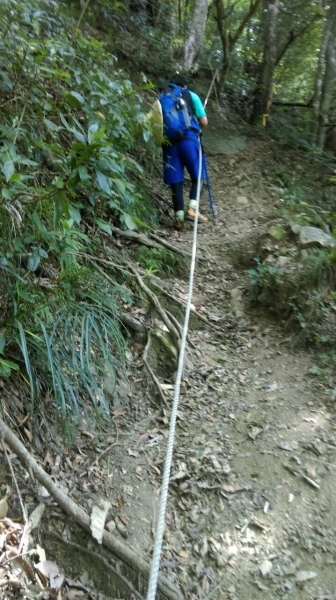 20150614泰安鄉虎山27471