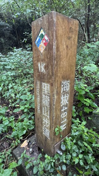 20250811未竟之小百岳里龍山2858819