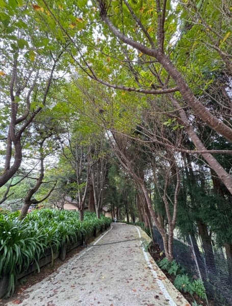 清泉 雪霸農場 野馬瞰山2925954