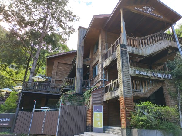 [百山百鳥尋旅-07/15] 2025_0831 八仙山國家森林遊樂區步道群2875960