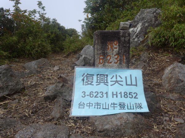 巴尖縱走（巴博庫魯山縱走復興尖山）752207