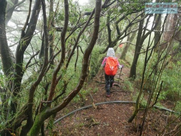 【南投】瀧奧山