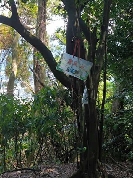 20250824鳶山彩壁2868545