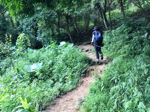 飛鳳山觀日坪連走中坑山388262