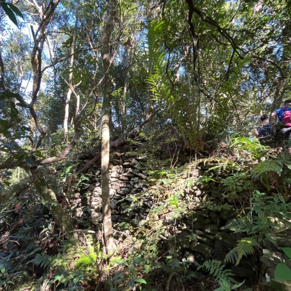 20251116_鳴海山（高雄小百岳）2941556