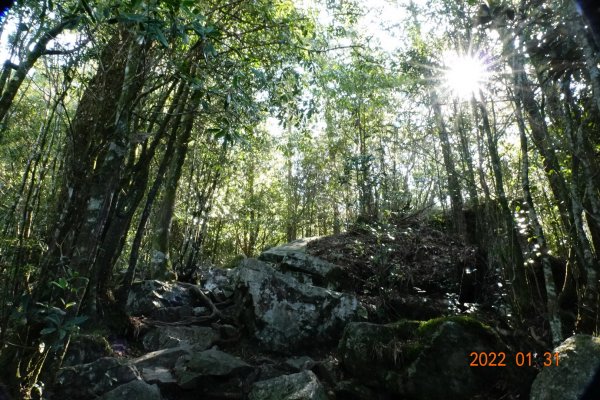 臺中 和平 稍來山1597384