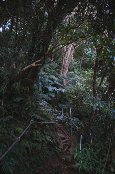 鳶山-福德坑山-彩壁858992