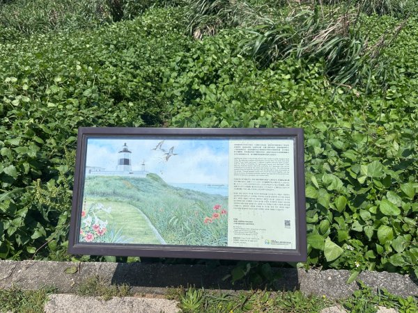 老梅綠石槽2775036