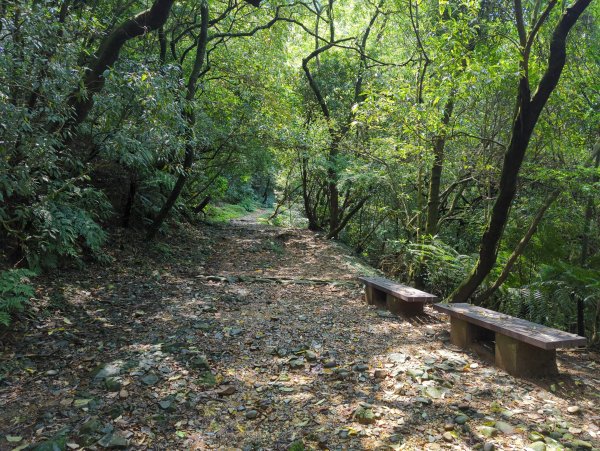 2025.04.27－金包里大路~小油坑縱走2770908