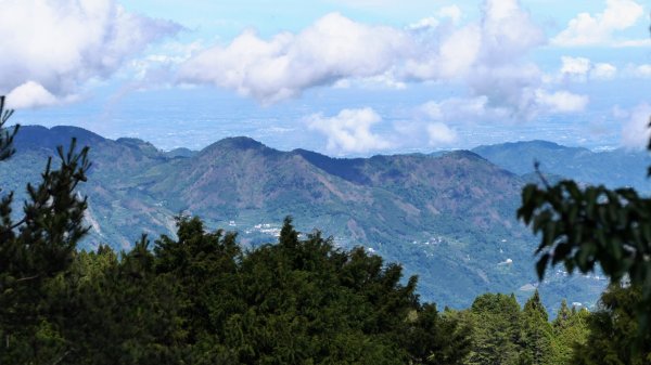 阿里山森遊區-祝山,對高岳步道2536990