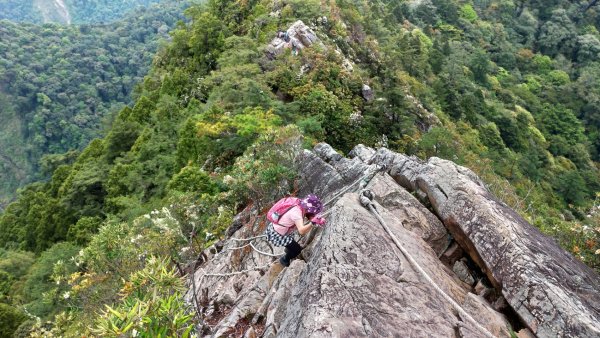 鳶嘴山 2019/05/05580973