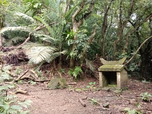 頭城鎮石城車站+隆嶺越嶺古道+隆嶺溪畔古道+福隆車站3002271