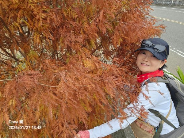 20260127三通嶺山.三義山(大桁茂山).慈濟山.大坪山大O走2989980