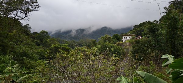 2025/11/02_大崎棟古道+騎龍古道+逃學步道2929074