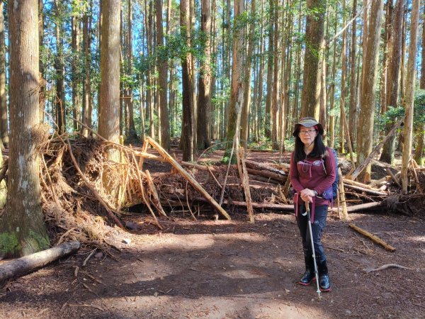 高島縱走202502152713769