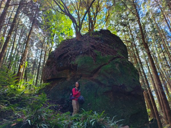 1121125 鳥嘴山縱走貴妃山2363983