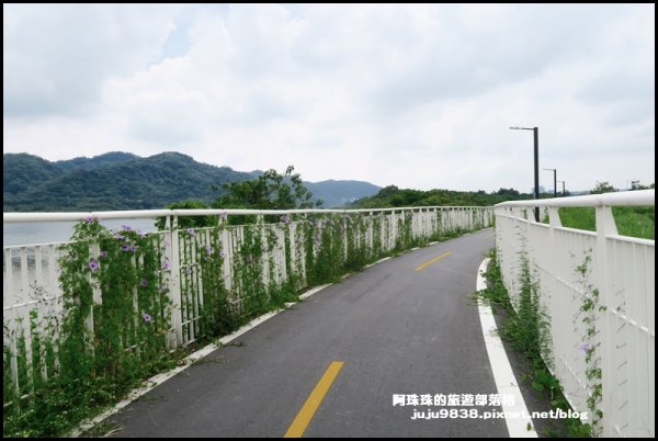 大溪左岸自行車道｜中新里韭菜花海超浪漫｜1101576