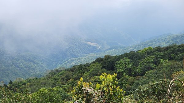 【中級山縱走】水雲三星，橫龍山，騰龍山，橫龍古道2742973