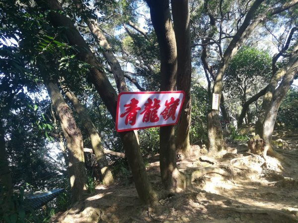 土城清水大尖山/朱財華紀念步道834008